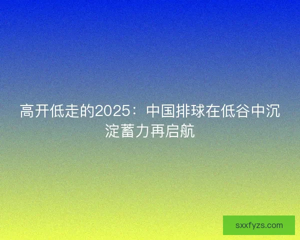 高开低走的2025：中国排球在低谷中沉淀蓄力再启航